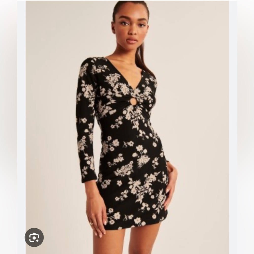 Abercrombie and Fitch long Sleeve O-ring Mini Dress